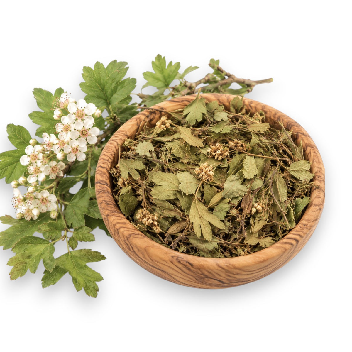 Weißdornblätter mit Blüten ganz » Natürliches Kaninchenfutter & artgerechtes Futter für Kleintiere