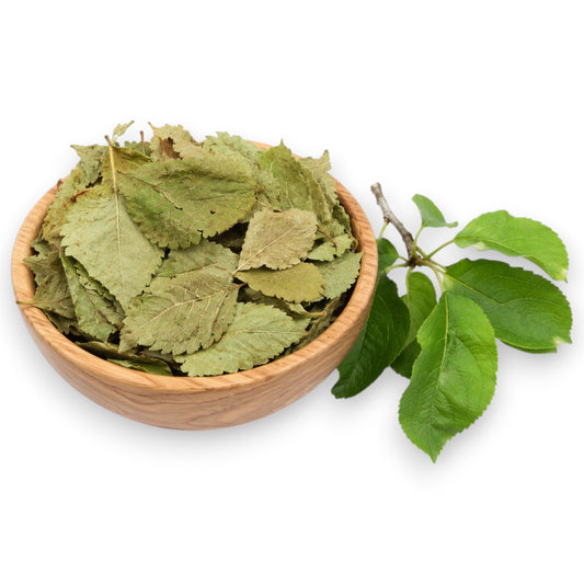 Dried Apple Leaves » Natural Rabbit Food for Species-Appropriate Nutrition