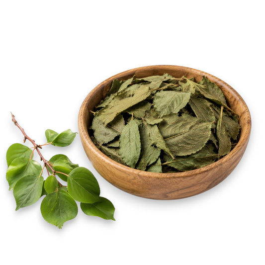 Dried Apricot Leaves » Natural Rabbit Food & Small Animal Feed for Rabbits and Guinea Pigs