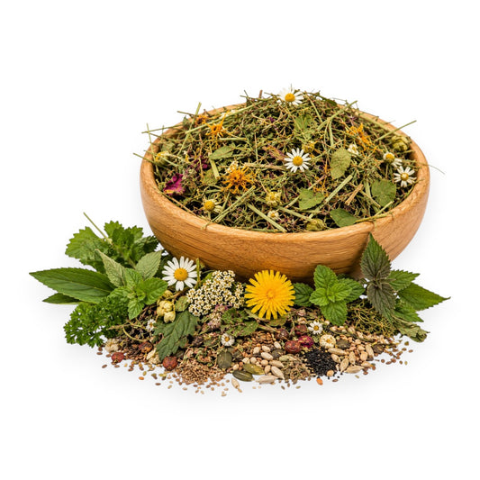 Allgäuer Highland Premium Belly Wellness Hay I 100% natural (1.2 kg) from KnabberNatur