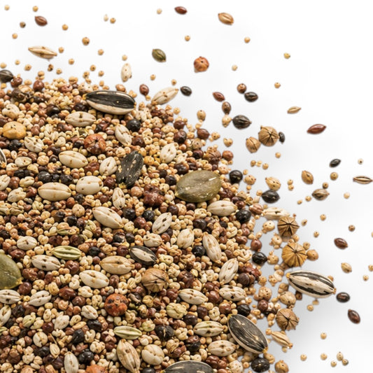 Darmfit Seed Mix for Rabbits (200g)