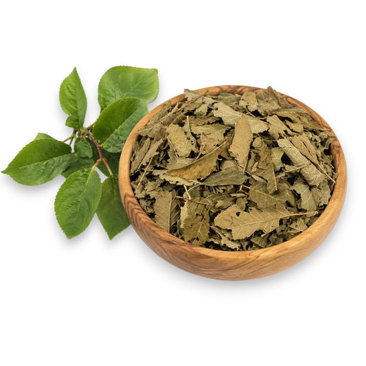 Dried Plum Leaves » Natural Rabbit Food for Species-Appropriate Small Pet Nutrition